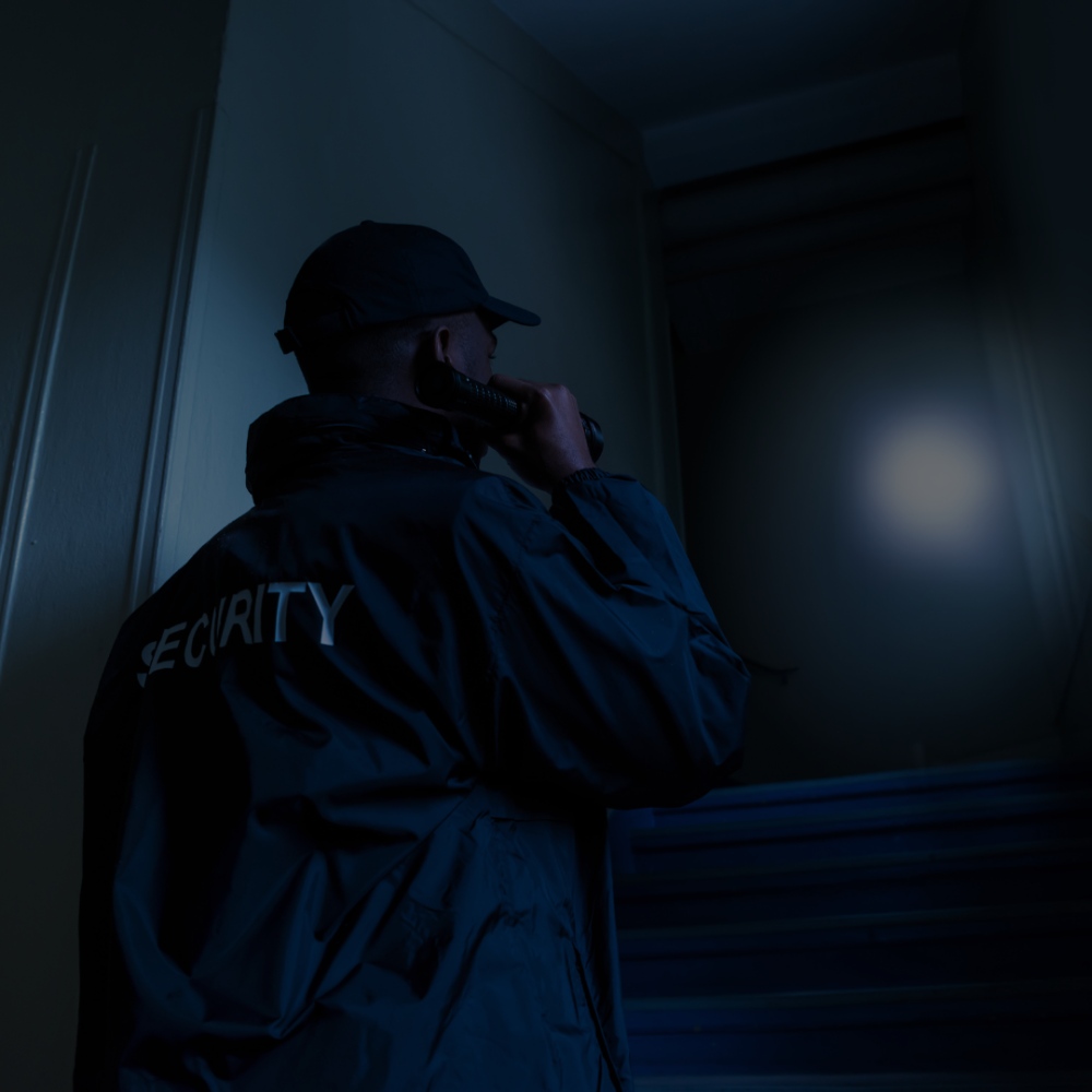 Armed Guarding